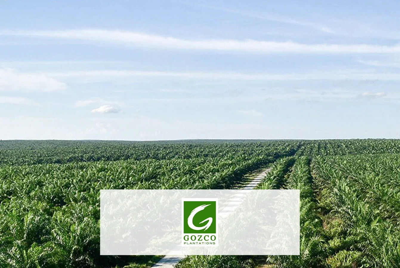 Company Profile Gozco Plantations Tbk, Kode Saham GZCO, Investasi Tren Pasar dan Insight Hari Ini bagi Investor