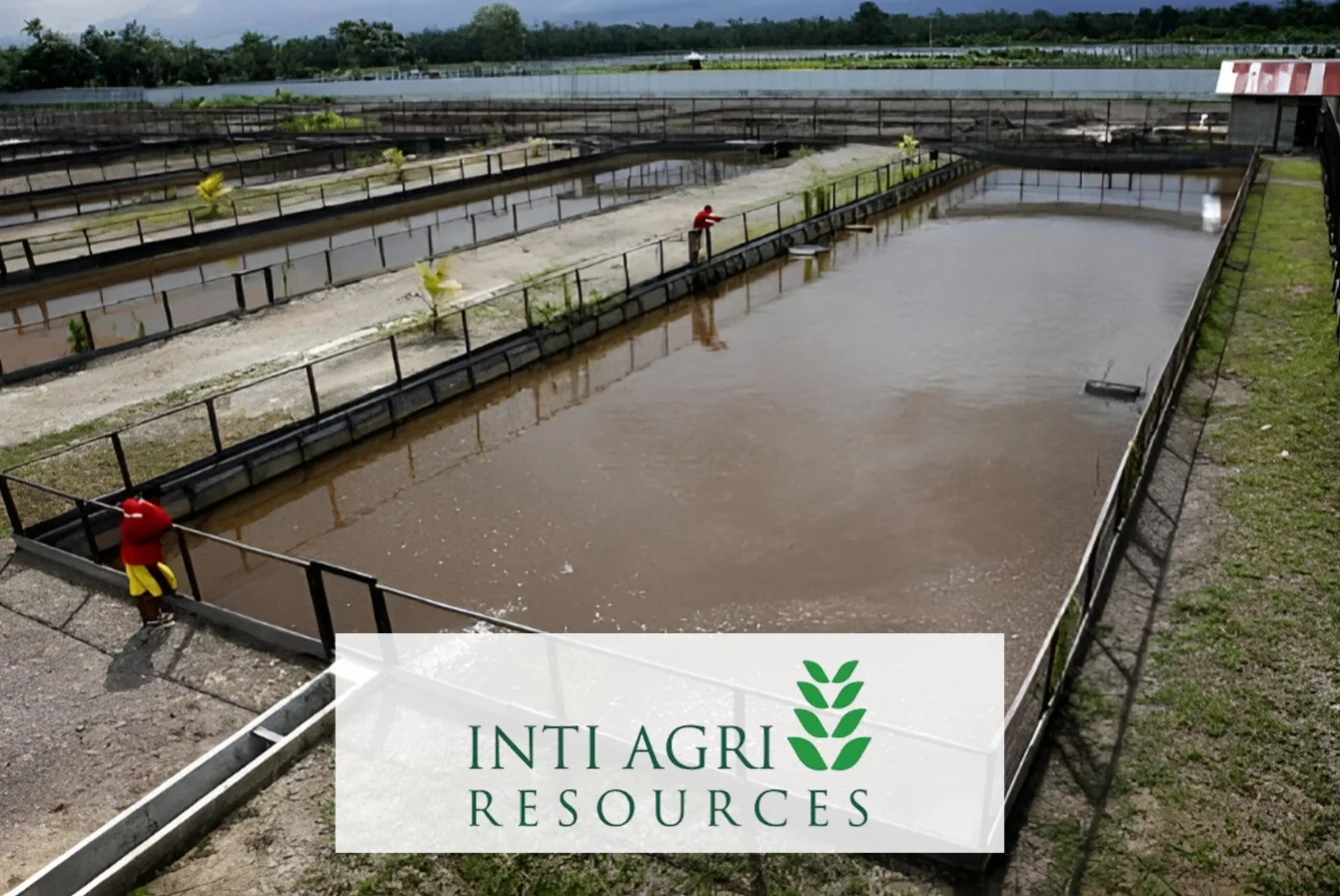 Company Profile Inti Agri Resources Tbk, Kode Saham IIKP, Investasi Tren Pasar dan Insight Hari Ini bagi Investor