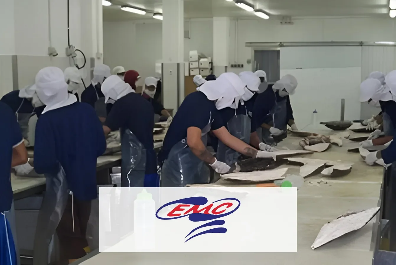 Company Profile PT Era Mandiri Cemerlang Tbk, Kode Saham IKAN, Investasi Tren Pasar dan Insight Hari Ini bagi Investor