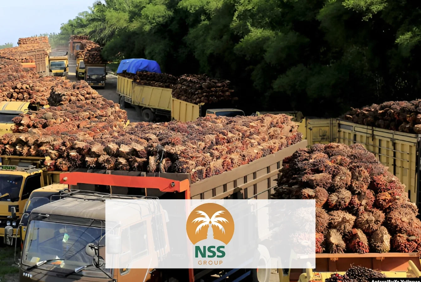 Company Profile PT Nusantara Sawit Sejahtera Tbk, Kode Saham NSSS, Investasi Tren Pasar dan Insight Hari Ini bagi Investor