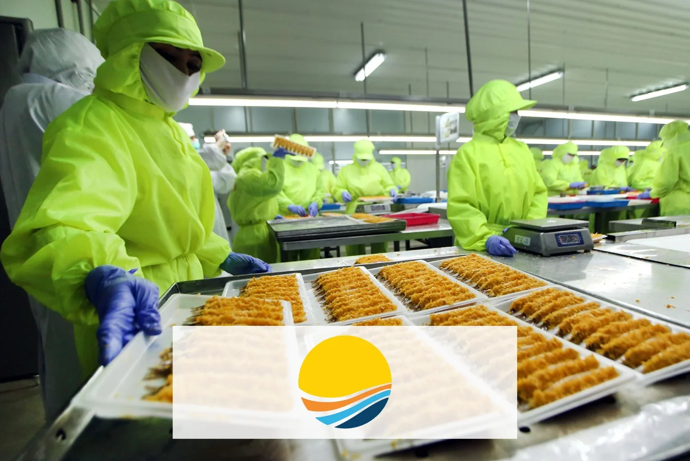 Company Profile PT Panca Mitra Multiperdana Tbk, Kode Saham PMMP, Investasi Tren Pasar dan Insight Hari Ini bagi Investor