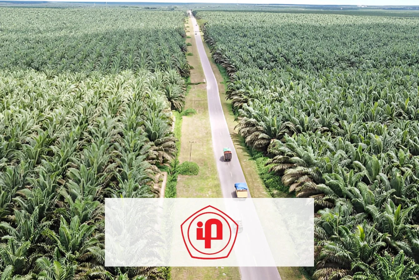 Company Profile PT Pinago Utama Tbk, Kode Saham PNGO, Investasi Tren Pasar dan Insight Hari Ini bagi Investor