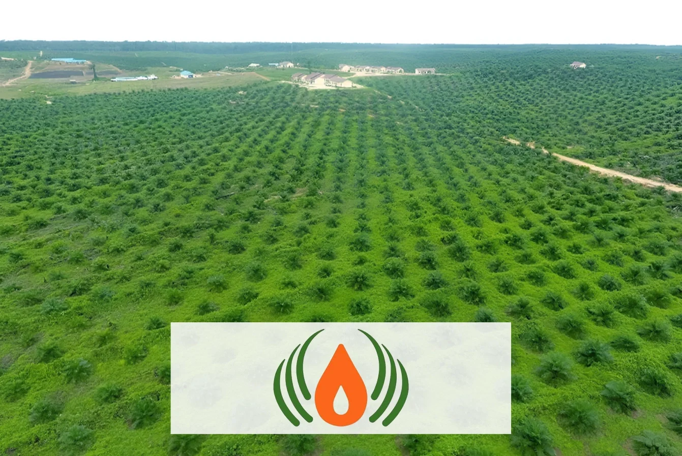 Company Profile PT Sumber Tani Agung Resources Tbk, Kode Saham STAA, Investasi Tren Pasar dan Insight Hari Ini bagi Investor