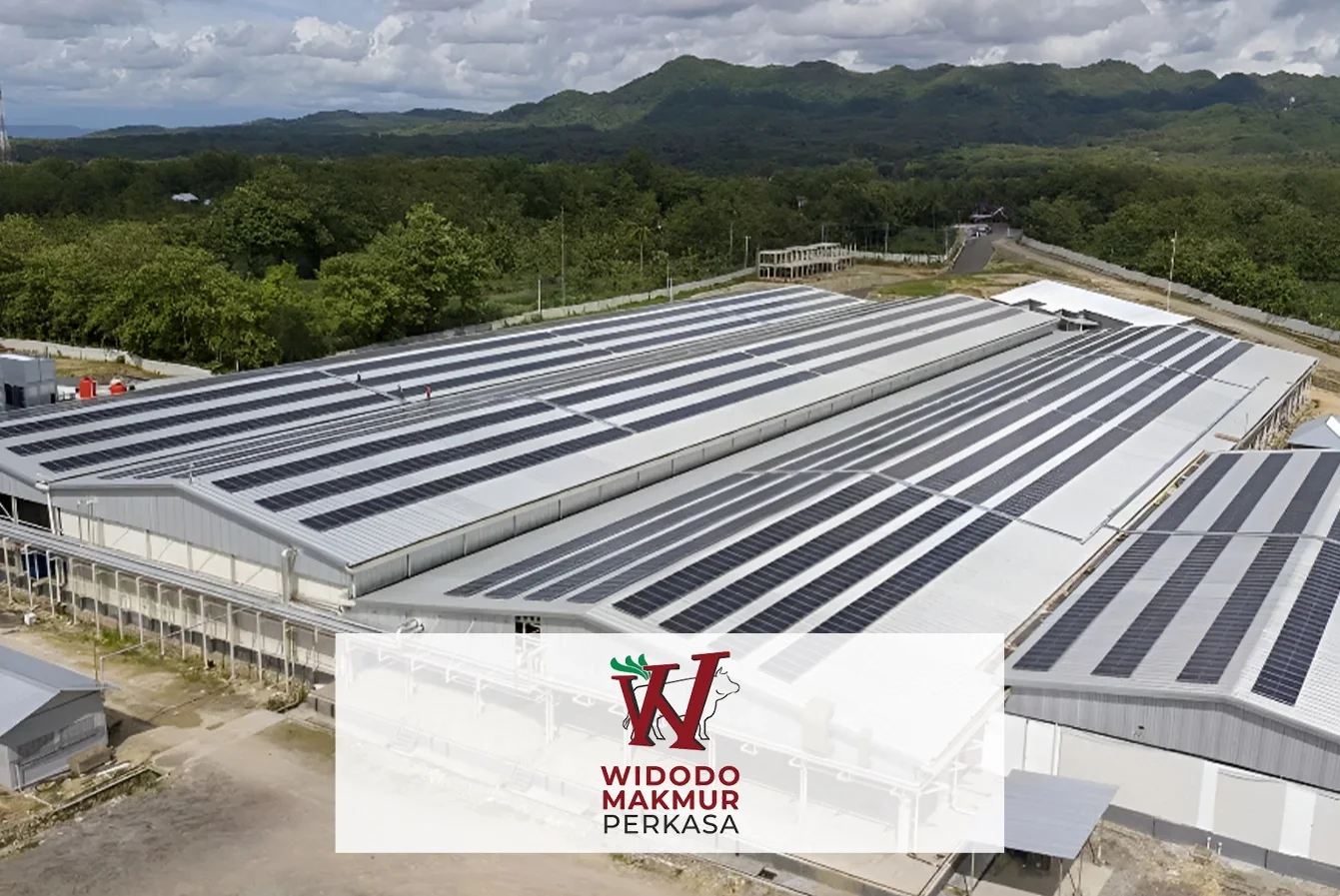 Company Profile PT Widodo Makmur Perkasa Tbk, Kode Saham WMPP, Investasi Tren Pasar dan Insight Hari Ini bagi Investor