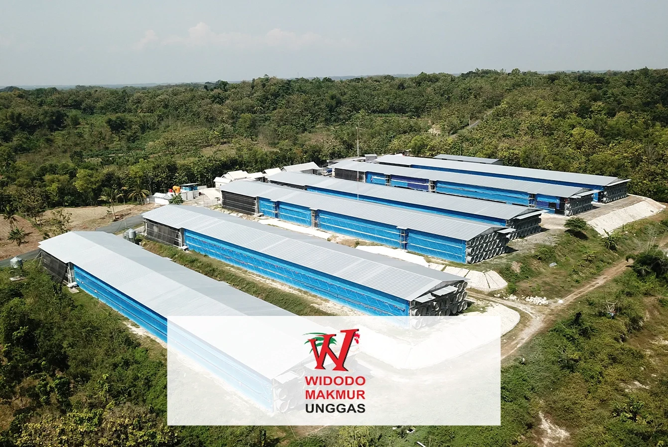 Company Profile PT Widodo Makmur Unggas Tbk, Kode Saham WMUU, Investasi Tren Pasar dan Insight Hari Ini bagi Investor