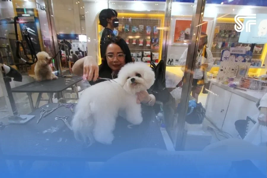 Indonesia International Pet Expo (IIPE) 2026 Bakal Ada Brand Apa saja ya? Simak disini Fripipel 