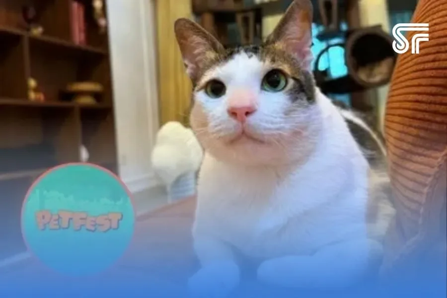 Petfest Indonesia 2026 bertema Petropolis, kota untuk semua hewan. Ada brand apa saja ya Fripipel? Simak disini!