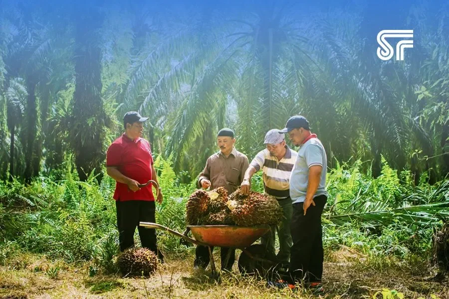 Transparansi Bisnis Lewat Annual Report, Ini Strategi Sustainability Branding Sinar Mas Agribusiness