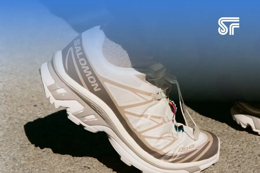 Best Running Shoes? Hoka, Ecco, Adidas, Salomon, Merrel