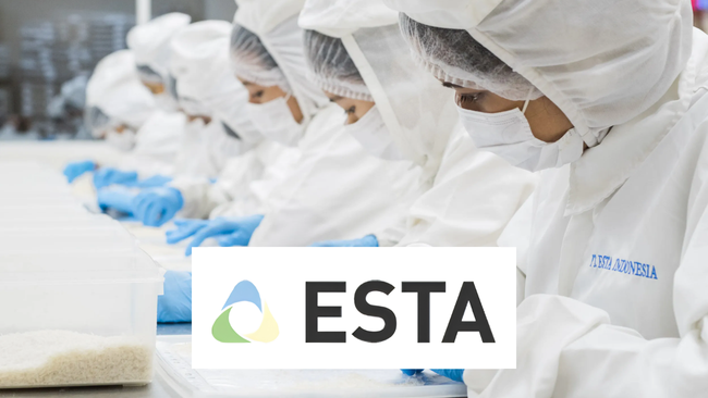 Company Profile PT Esta Indonesia Tbk., Kode Saham NEST, Investasi Tren Pasar Dan Insight Hari Ini Bagi Investor