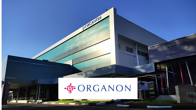 Company Profile PT Organon Pharma Indonesia Tbk., Kode Saham SCPI, Investasi Tren Pasar Dan Insight Hari Ini Bagi Investor