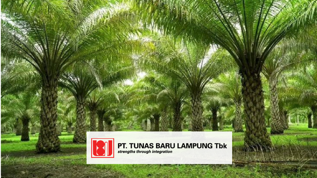 Company Profile PT Tunas Baru Lampung Tbk., Kode Saham TBLA, Investasi Tren Pasar Dan Insight Hari Ini Bagi Investor