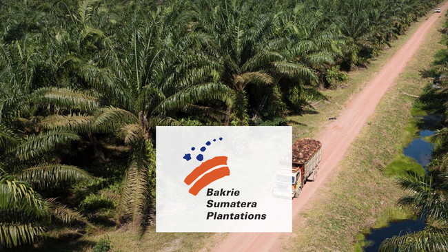 Company Profile PT Bakrie Sumatera Plantations Tbk., Kode Saham UNSP, Investasi Tren Pasar Dan Insight Hari Ini Bagi Investor