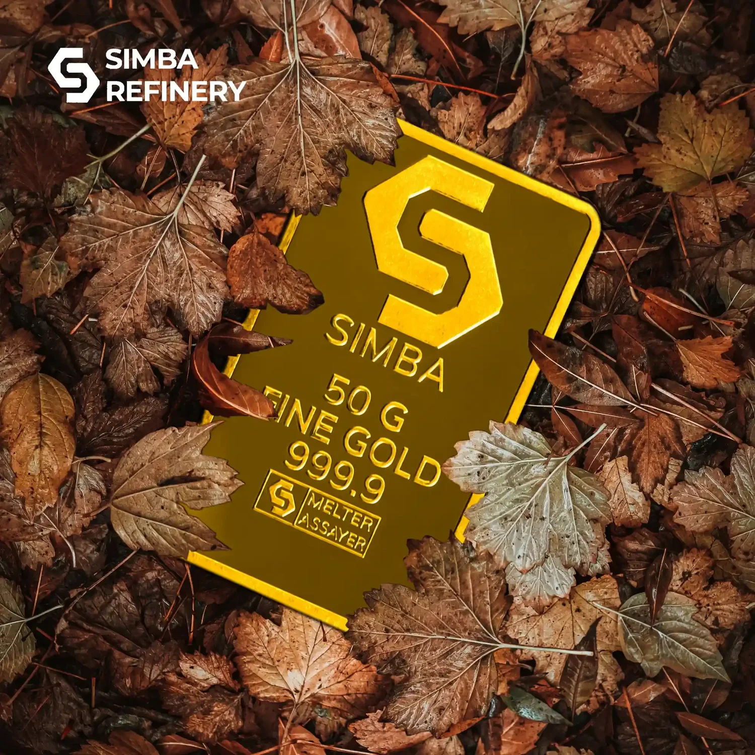 Simba Bullion Creative Campaigns - look
