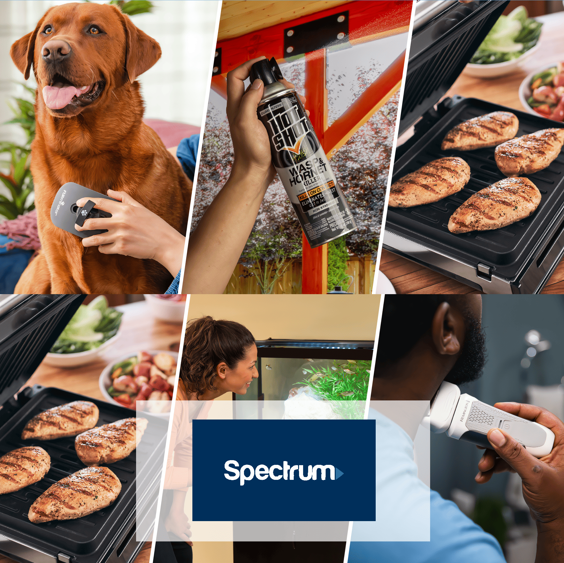 SPECTRUM