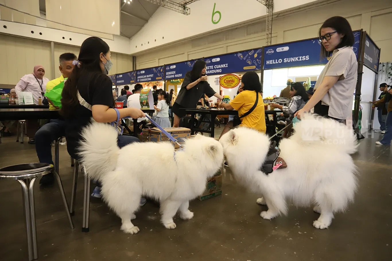 petfest-indonesia-2026-bertema-petropolis-kota-untuk-semua-hewan-ada-brand-apa-saja-ya-fripipel-simak-disini.webp
