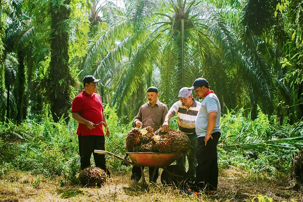 transparansi-bisnis-lewat-annual-report-ini-strategi-sustainability-branding-sinar-mas-agribusiness