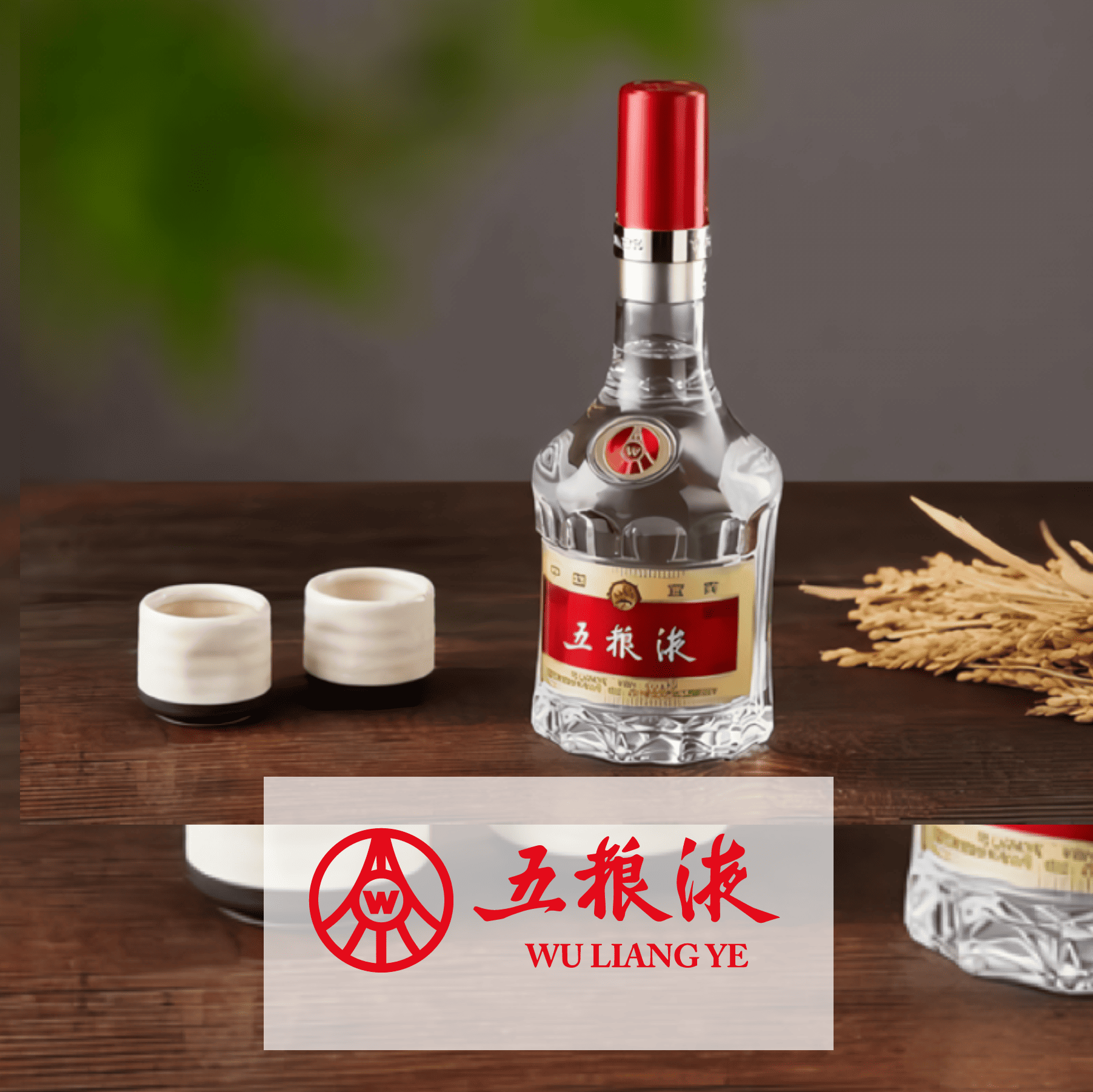 WU LIANG YE