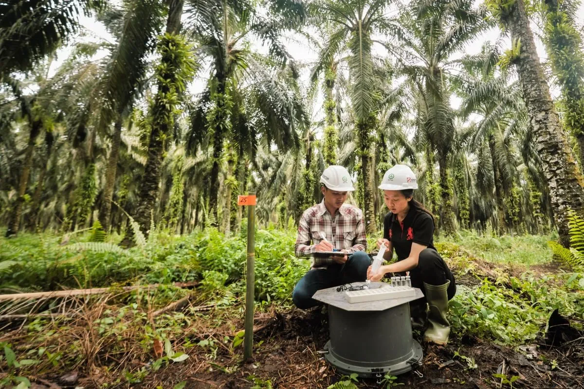 transparansi-bisnis-lewat-annual-report-ini-strategi-sustainability-branding-sinar-mas-agribusiness