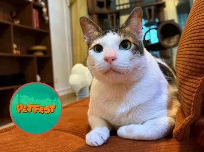 petfest-indonesia-2026-bertema-petropolis-kota-untuk-semua-hewan-ada-brand-apa-saja-ya-fripipel-simak-disini (2).webp