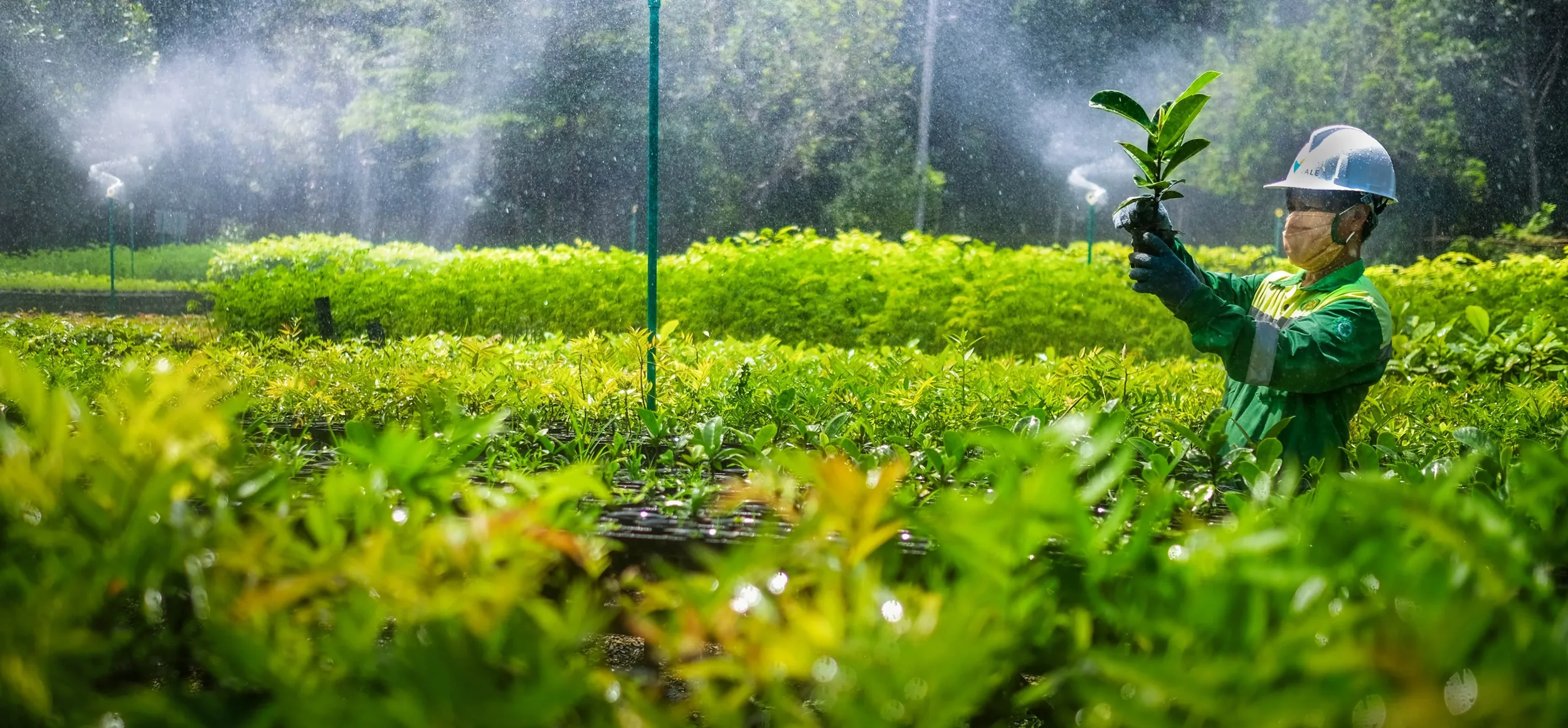 sustainability-branding-global-vale-indonesia-memperkuat-rantai-pasok-baterai-ev-melalui-hilirisasi-nikel-berkelanjutan