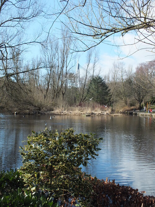 pond-in-park-glenrothes-scottish-new-town.jpg