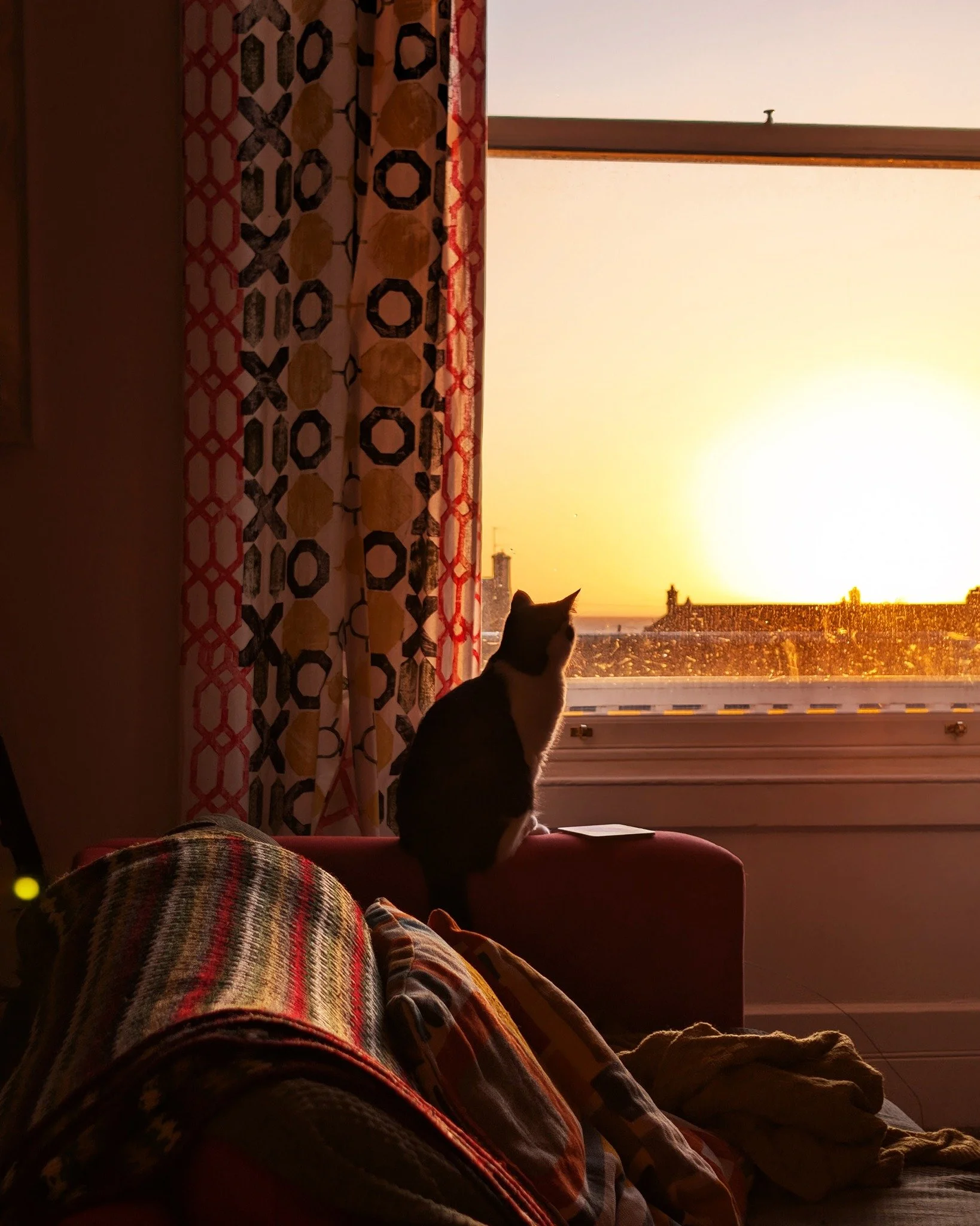 happy 2026 🪟 a bright, beautiful start, observed from behind a block printed curtain. (at least i didn't have to wake up early to catch the first sunrise of the year.) 

may your year be filled with the richness of colourful patterns and the relentl