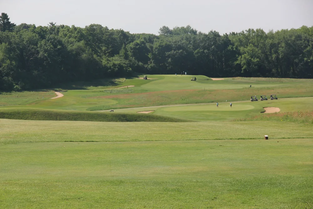 Lawsonia Links #6 and #8