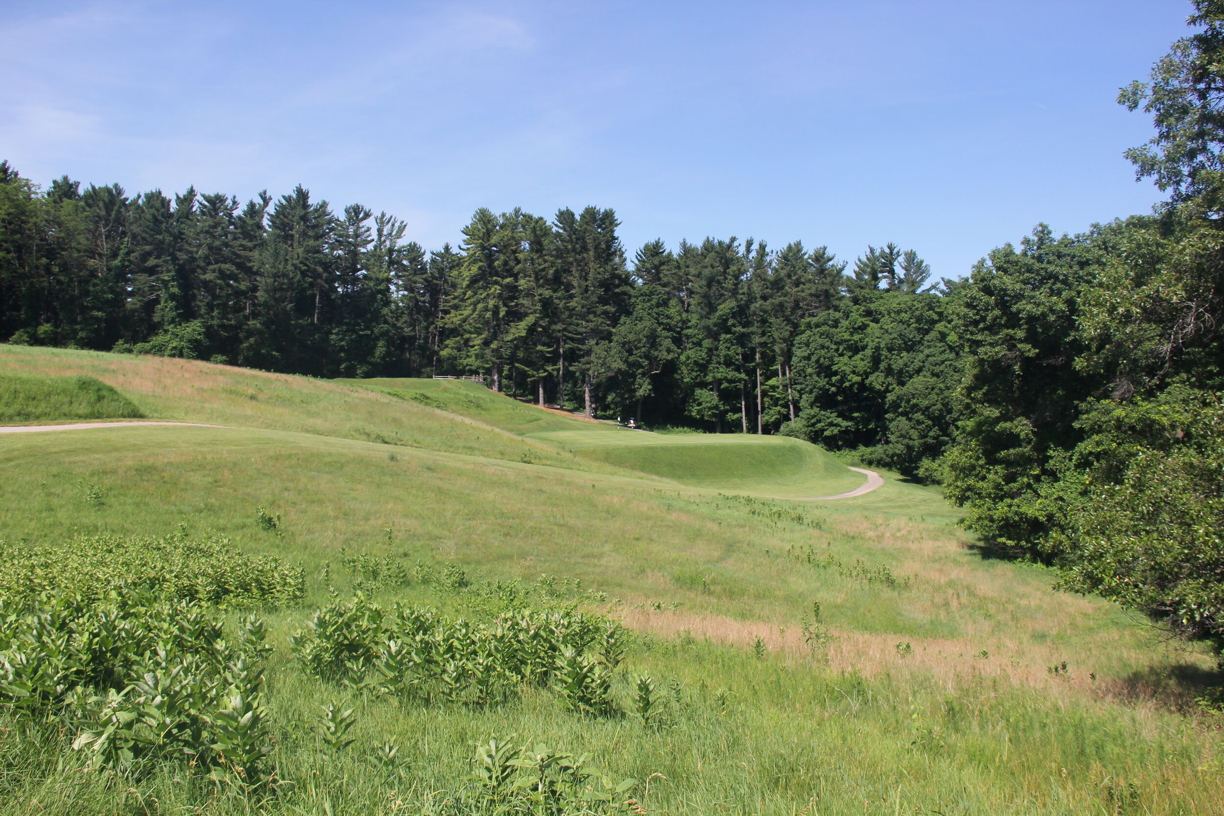 Lawsonia Links - Par 3 #7