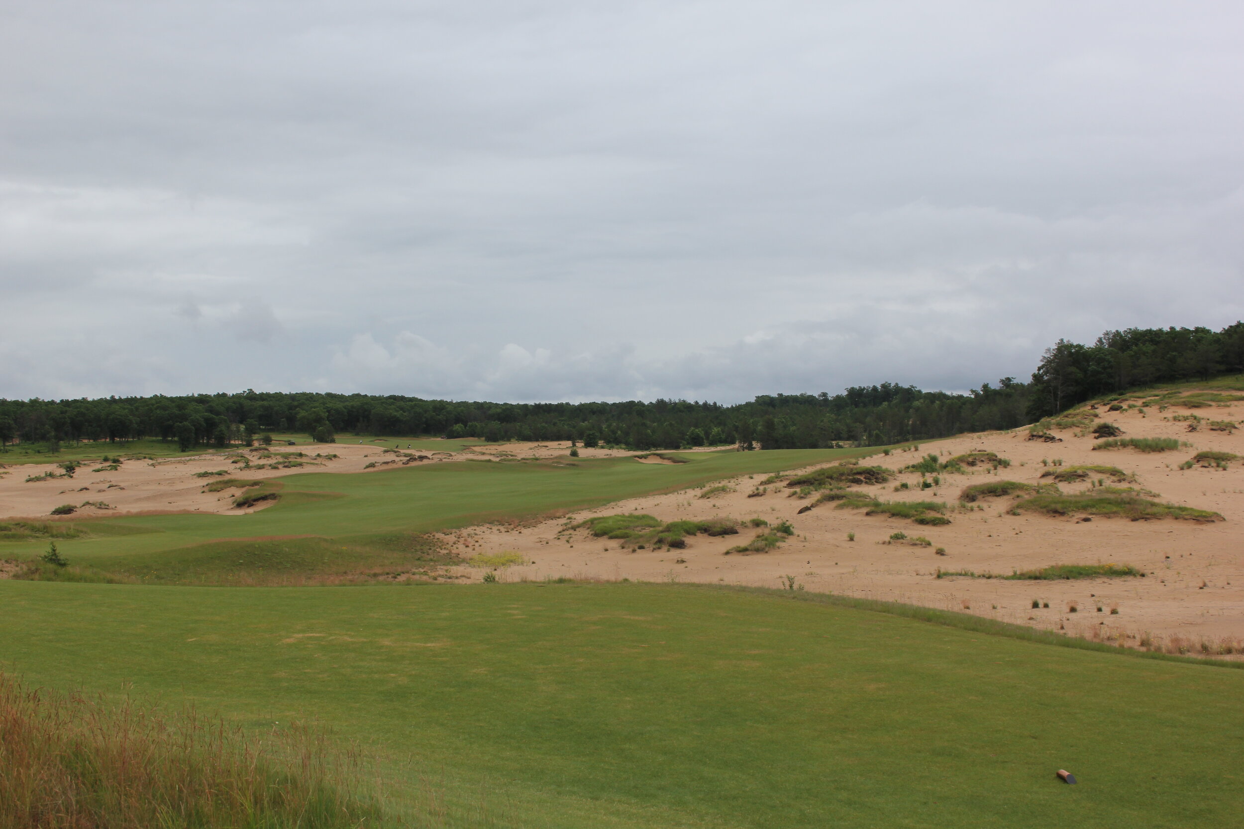 Mammoth Dunes #1