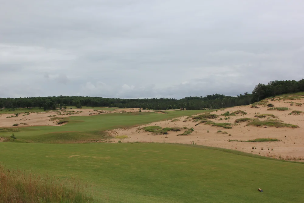 Mammoth Dunes #1