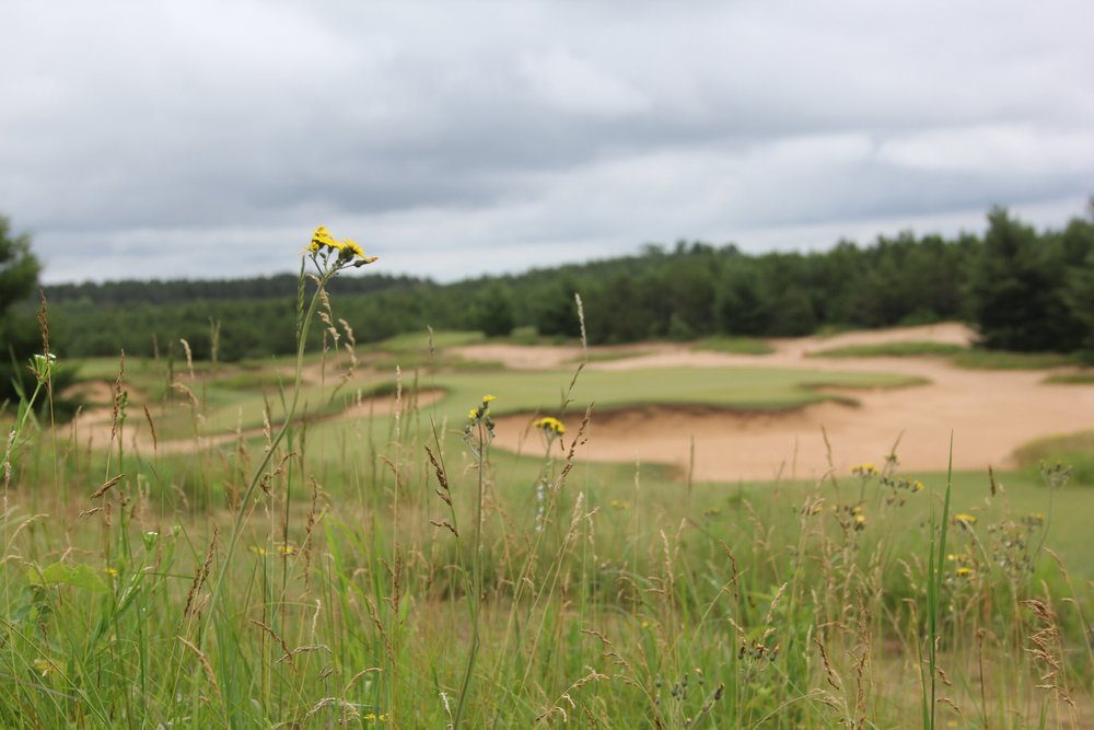Mammoth Dunes - #8 - Par 3
