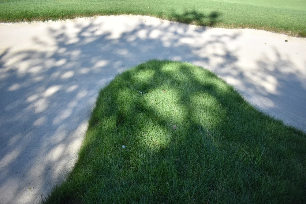  Could you make a par from here? 