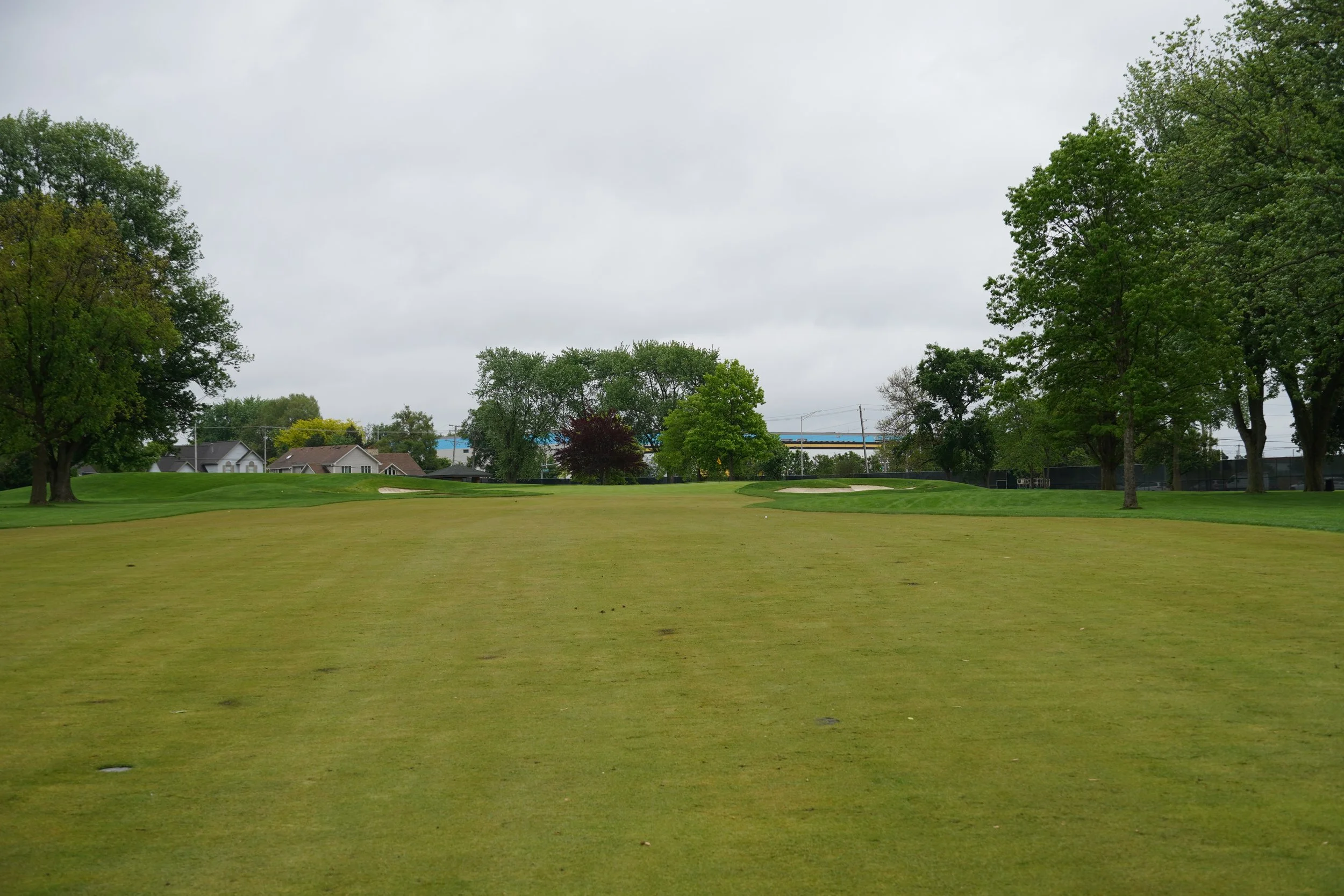 DSC04581.JPG