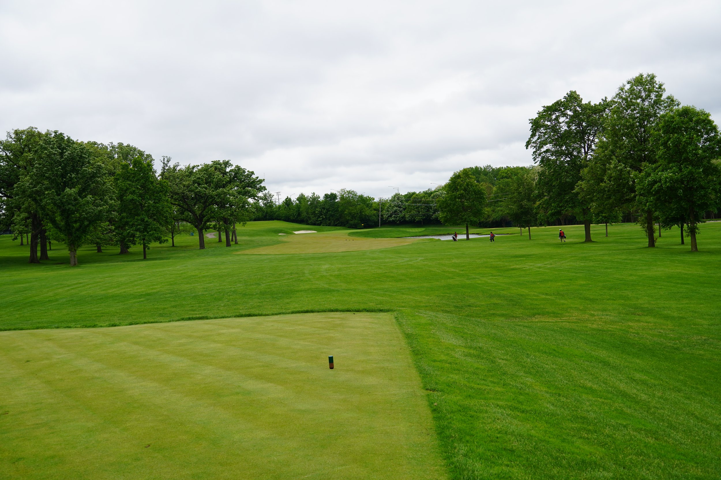 Hole #15 - Par 4 - 308 Yards