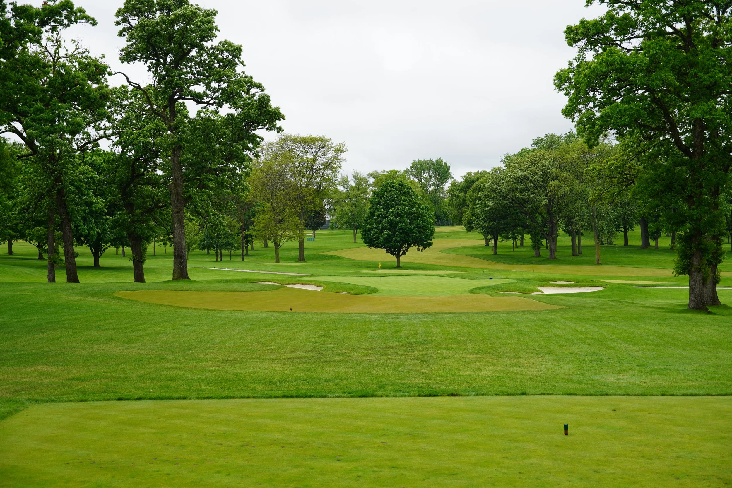 Hole #8 - Par 3 - 153 Yards