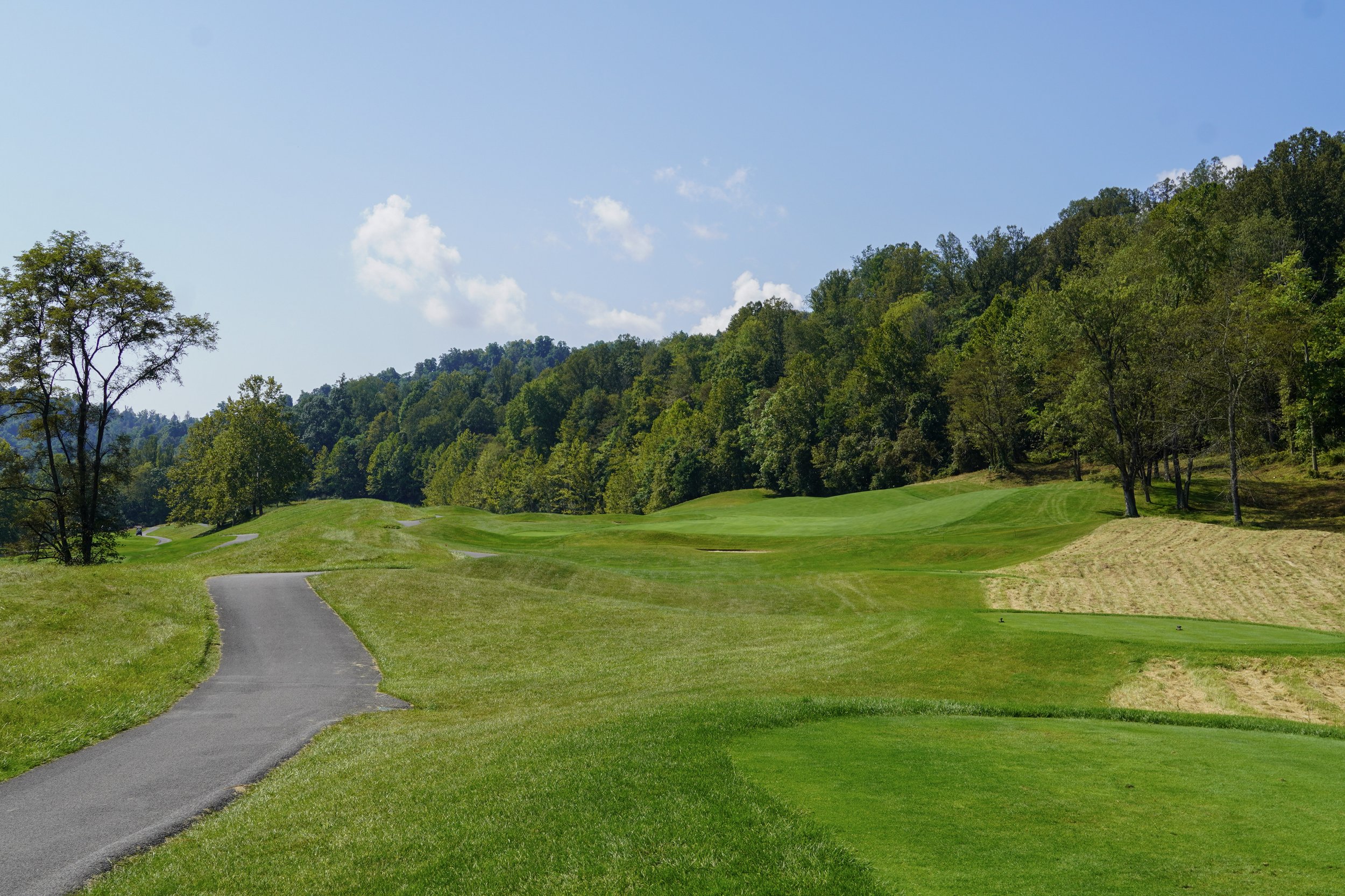 Hole #8 - Par 4 - 485 Yards