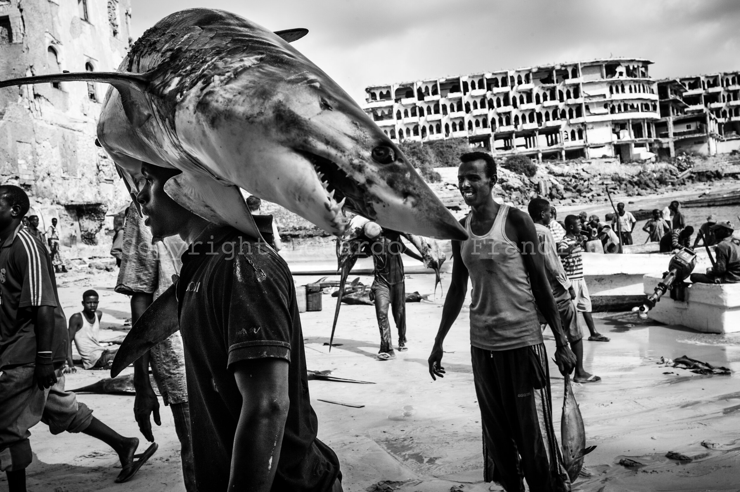  Mogadishu fishing port, a small beach where small artisanal boats disembark relatively big amounts of fish every day including sharks, manta rays and turtles.  Fisheries are an artisanal industry in Somalia, and fishermen use small boats that can't 