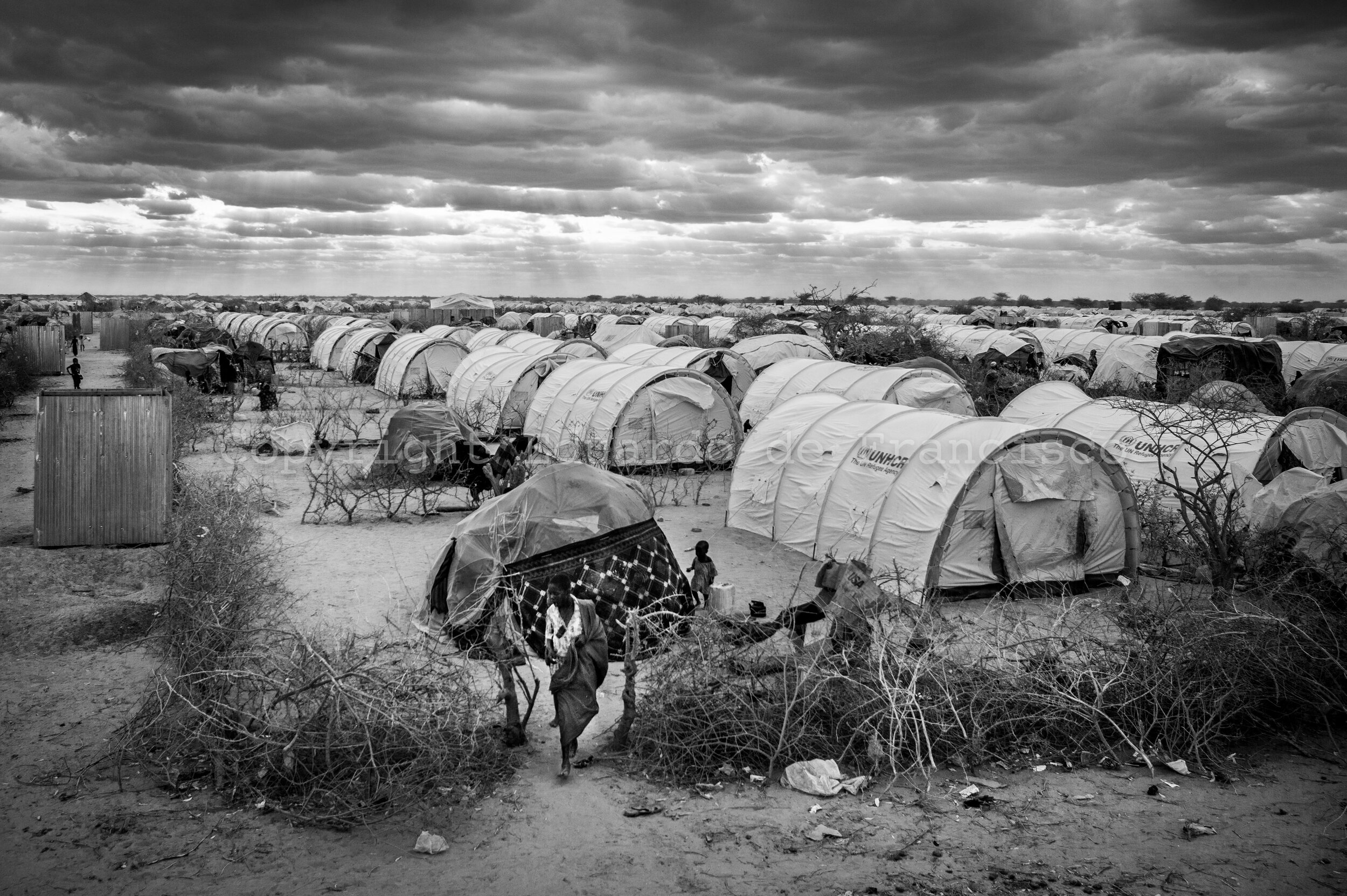  Panoramic view of a recently habilitated section of Ifo refugee camp near Dadaab. More than half a million Somali refugees live in four camps surrounding Dadaab in Eastern Kenya, which continue receiving a constant influx of families escaping drough