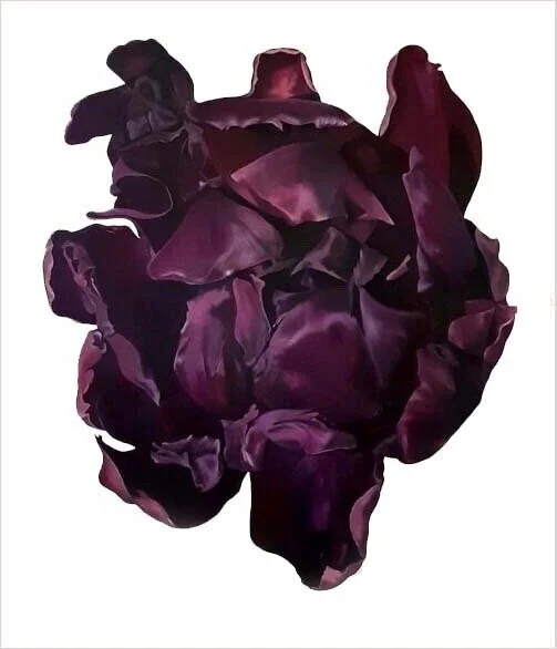 Dark+Tulip.jpg