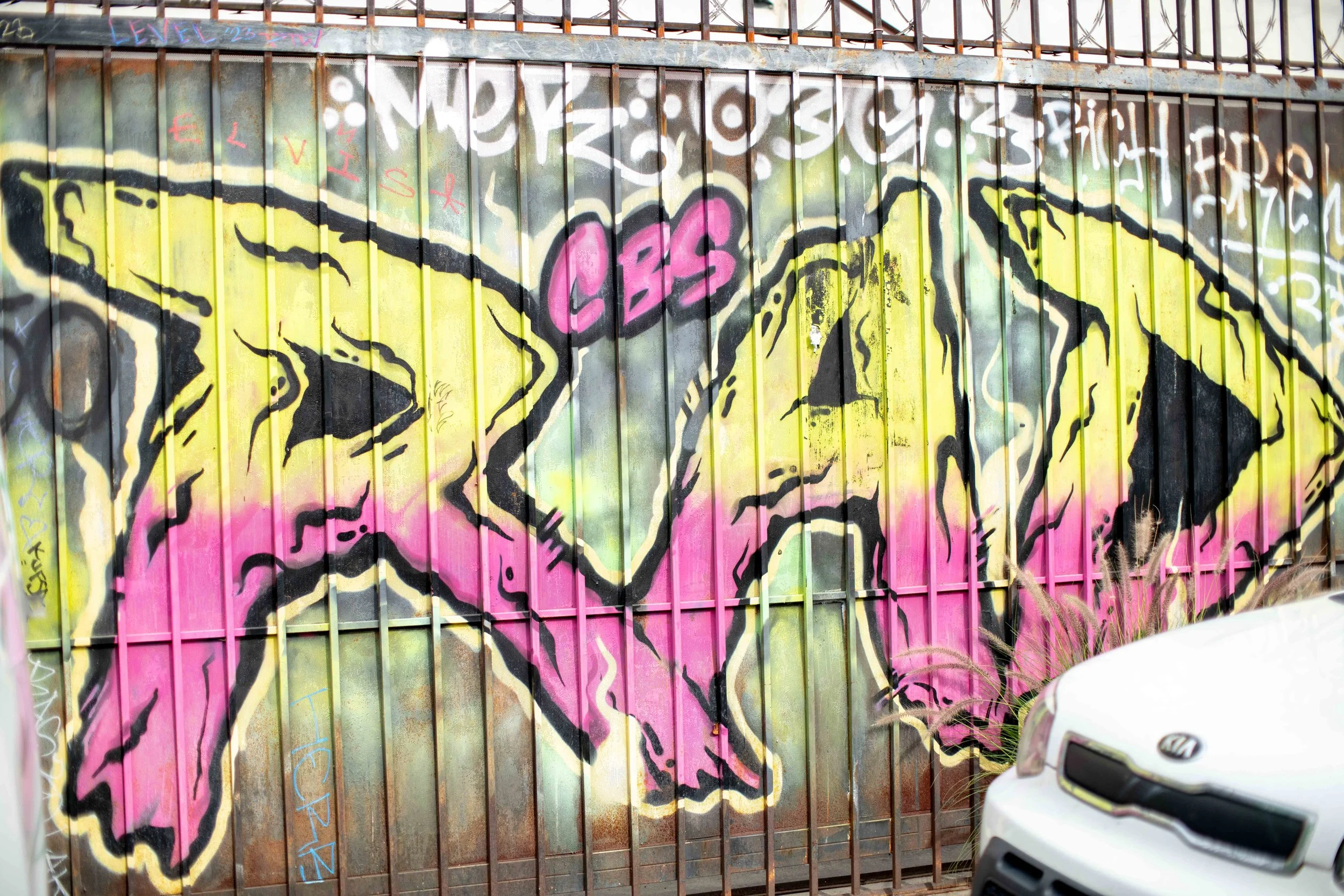 The End of Social Media