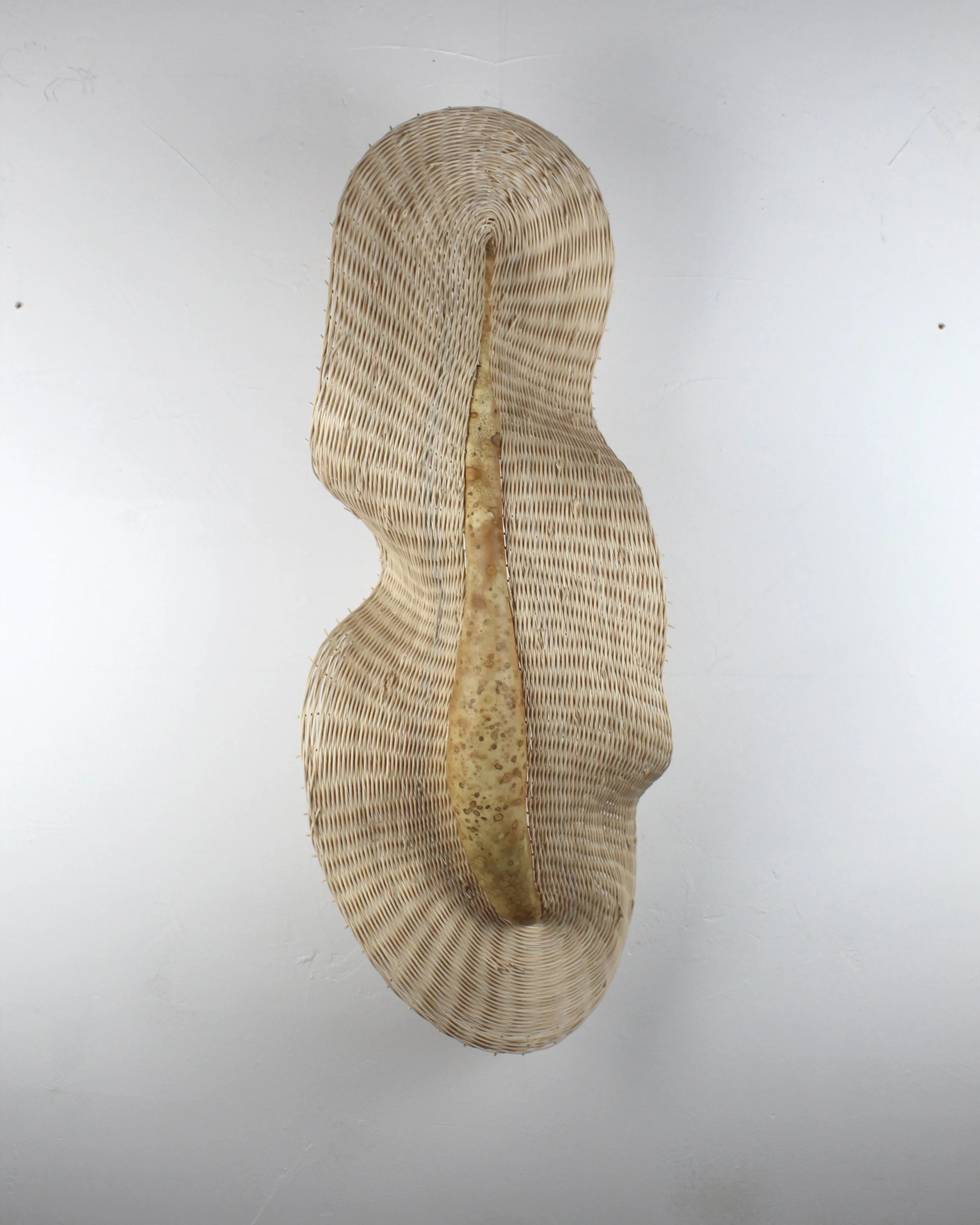 gourd 2