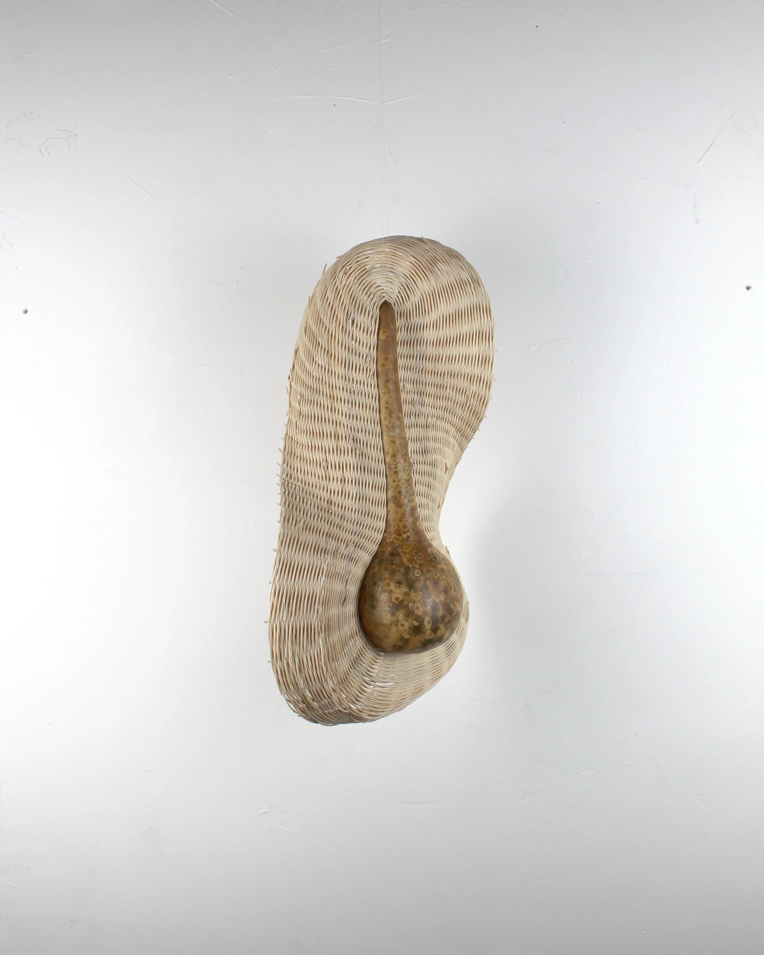 gourd 3