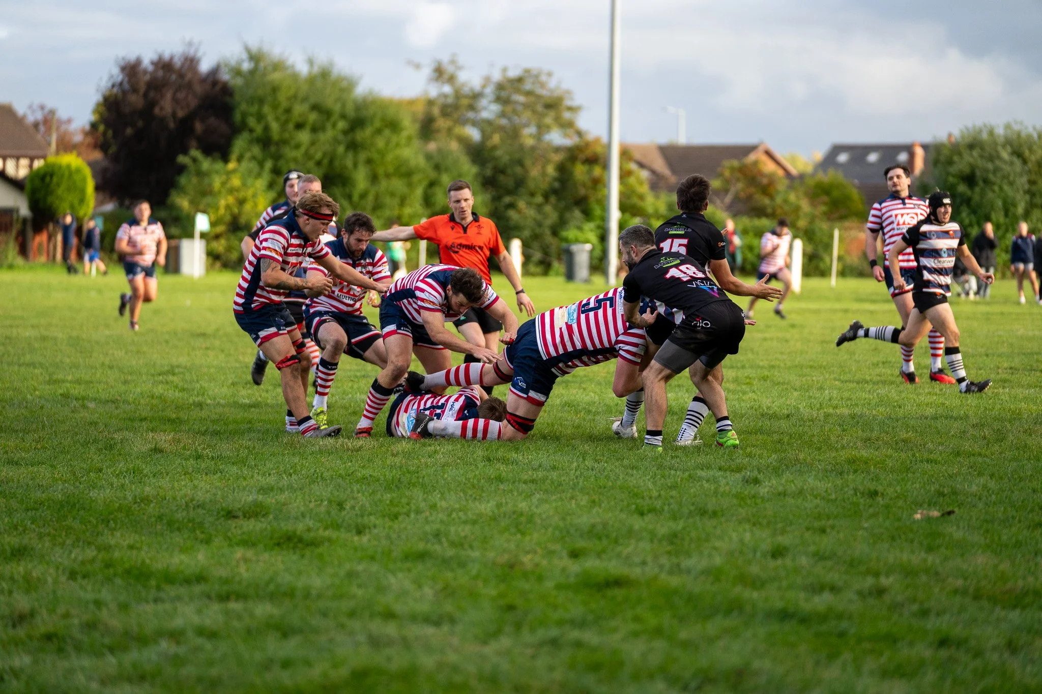 DSC05246-2.jpg