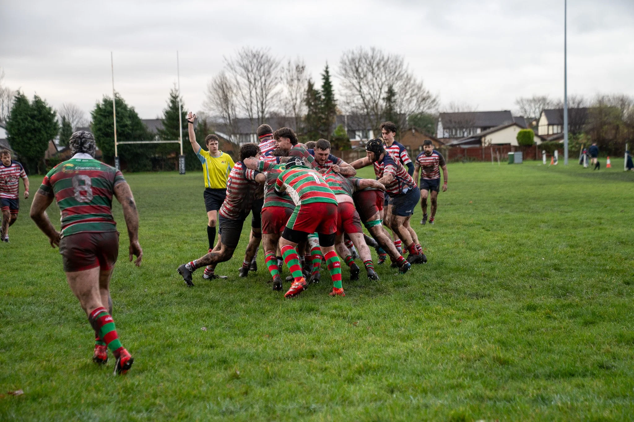 DSC03665.jpg