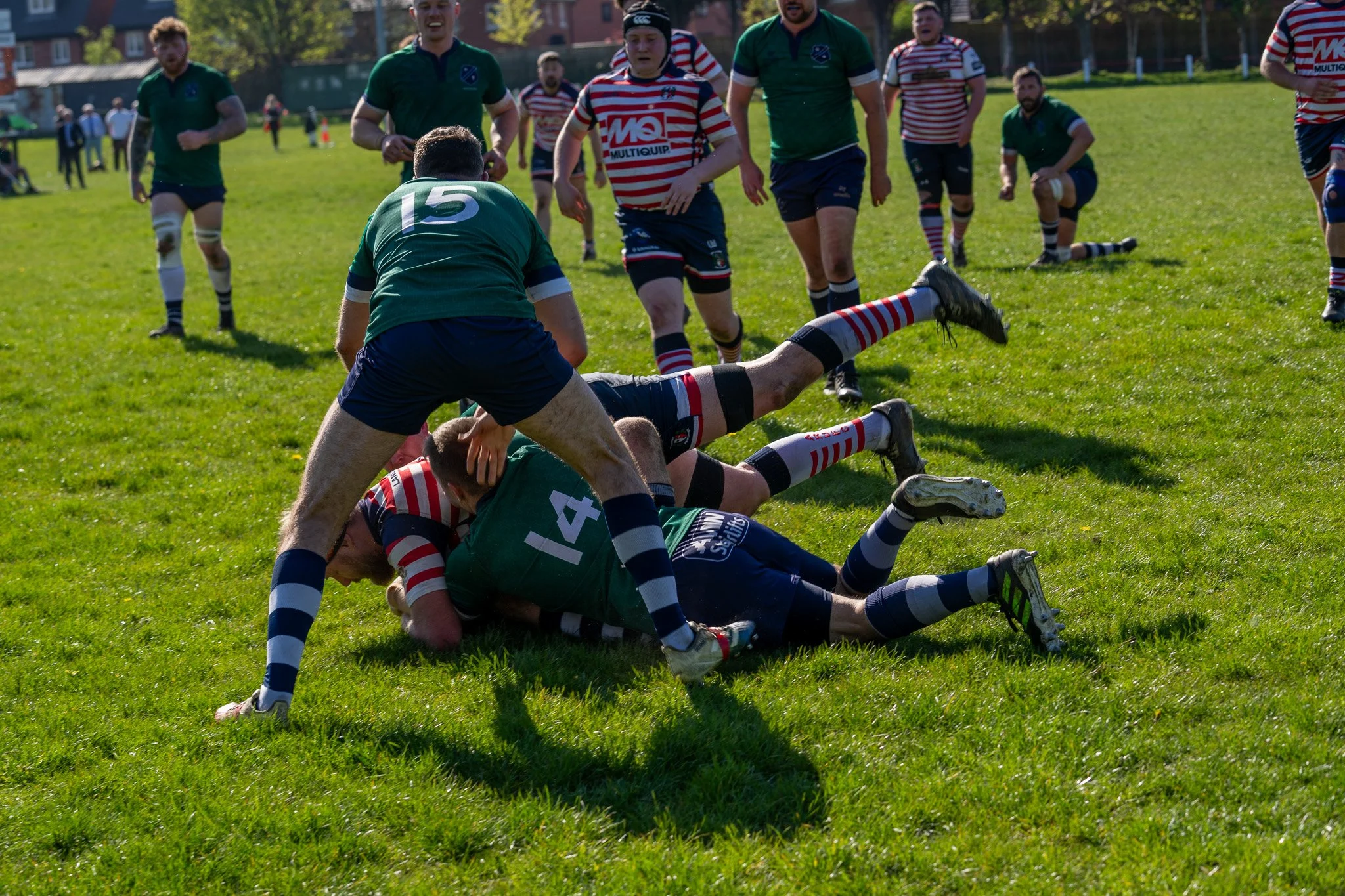 DSC01985.jpg