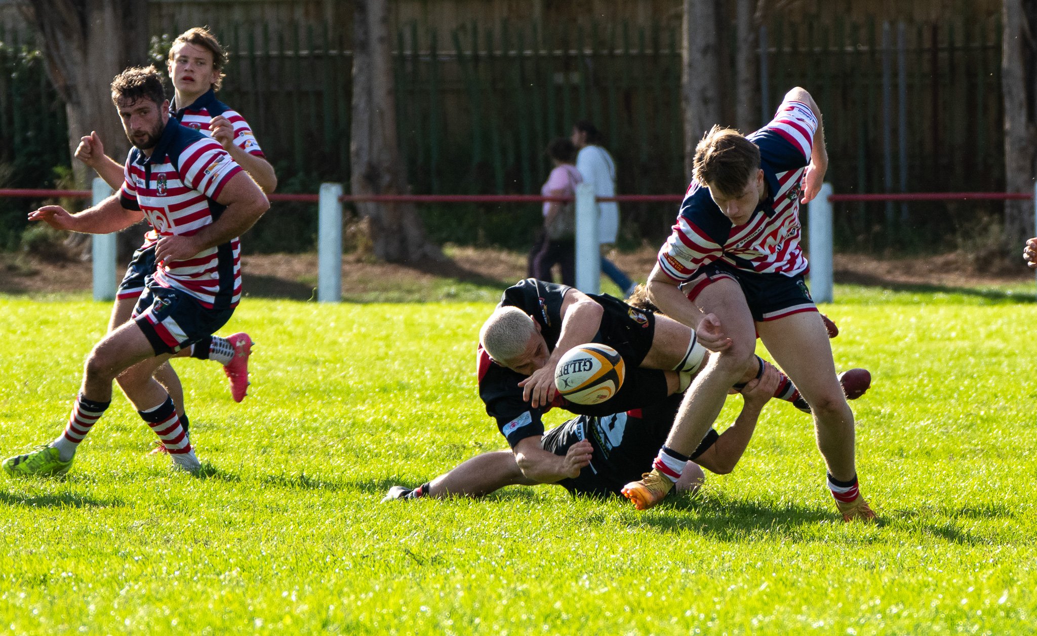 DSC03947.jpg