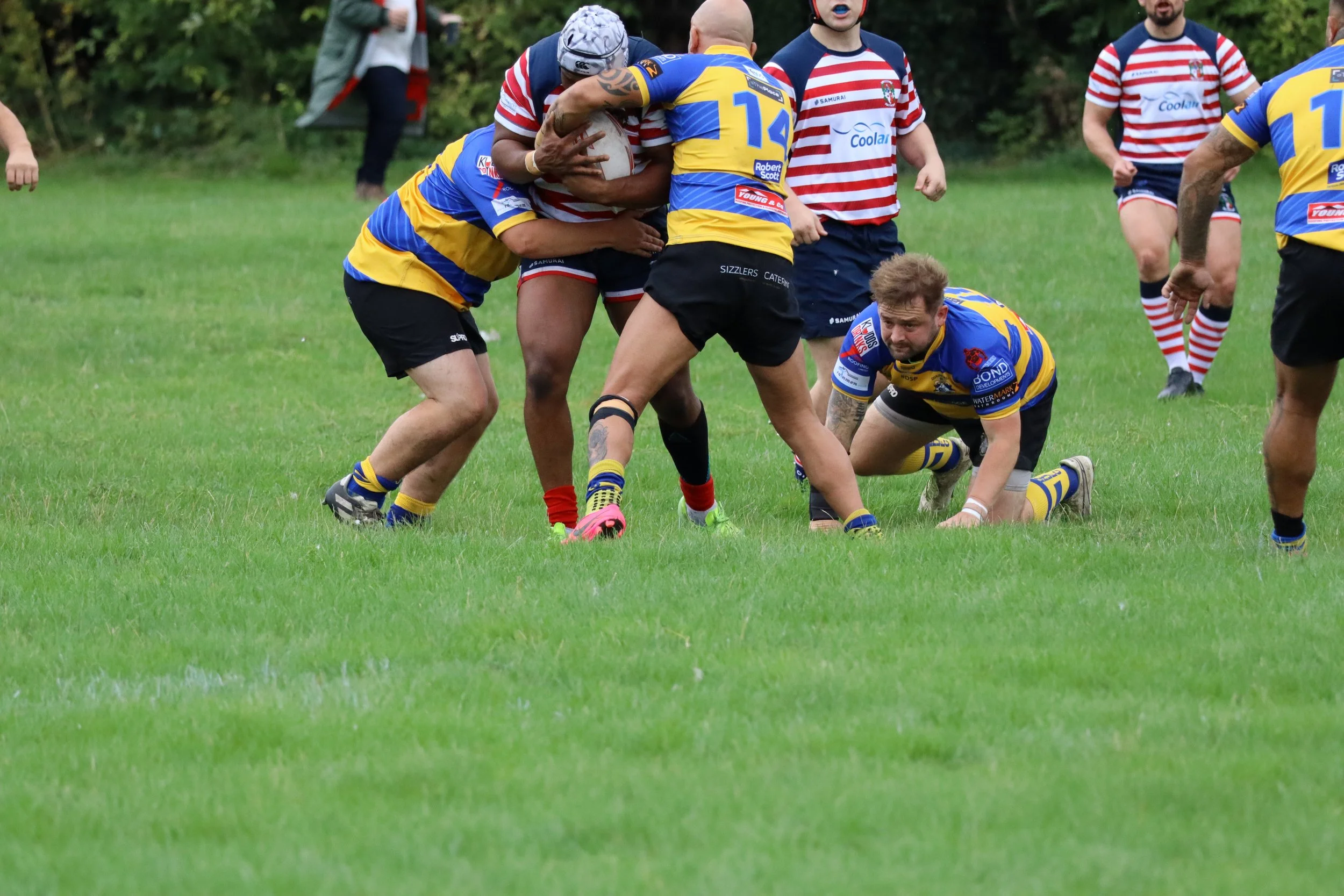 IMG_5420.JPG