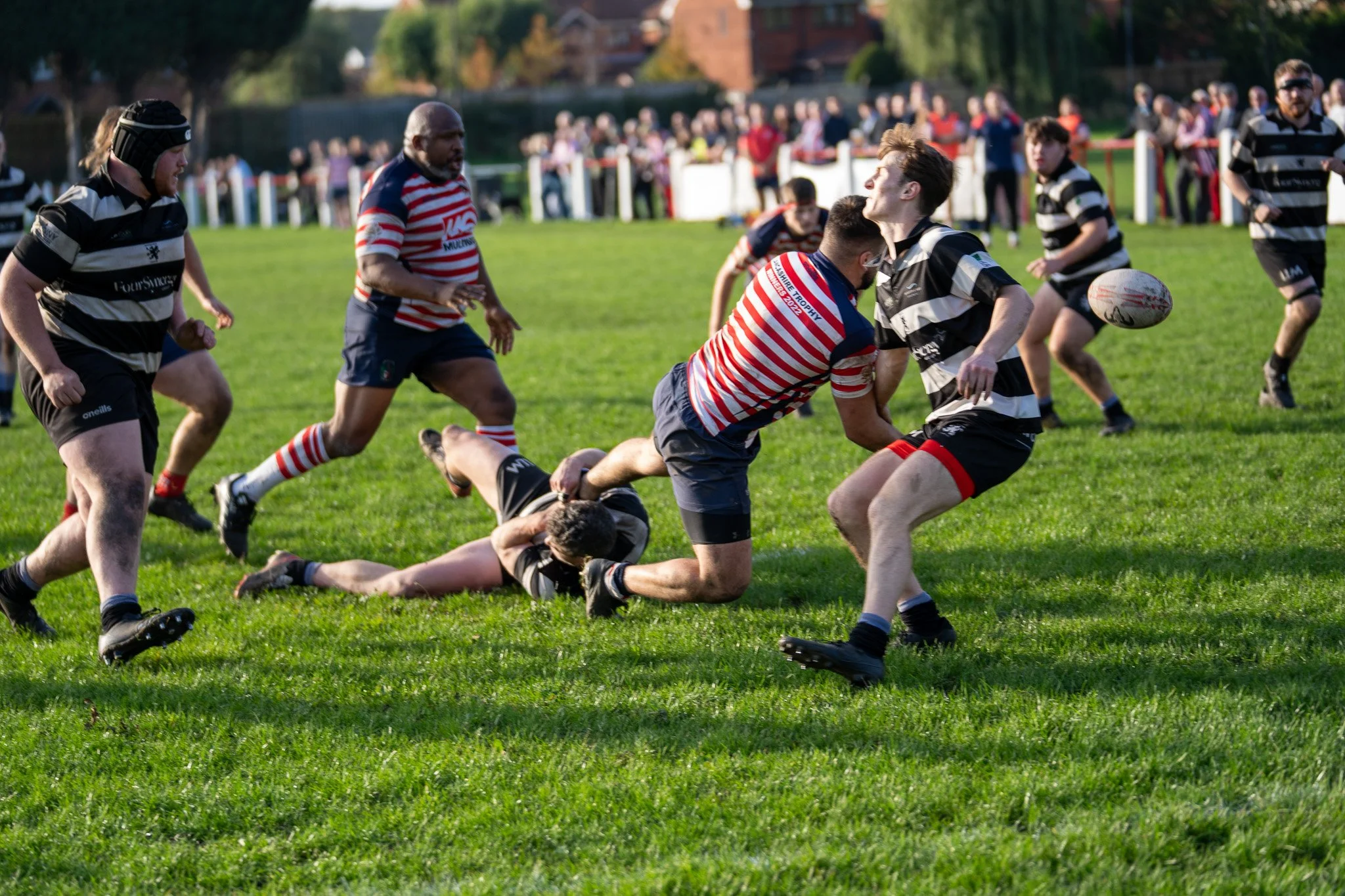 DSC04083.jpg