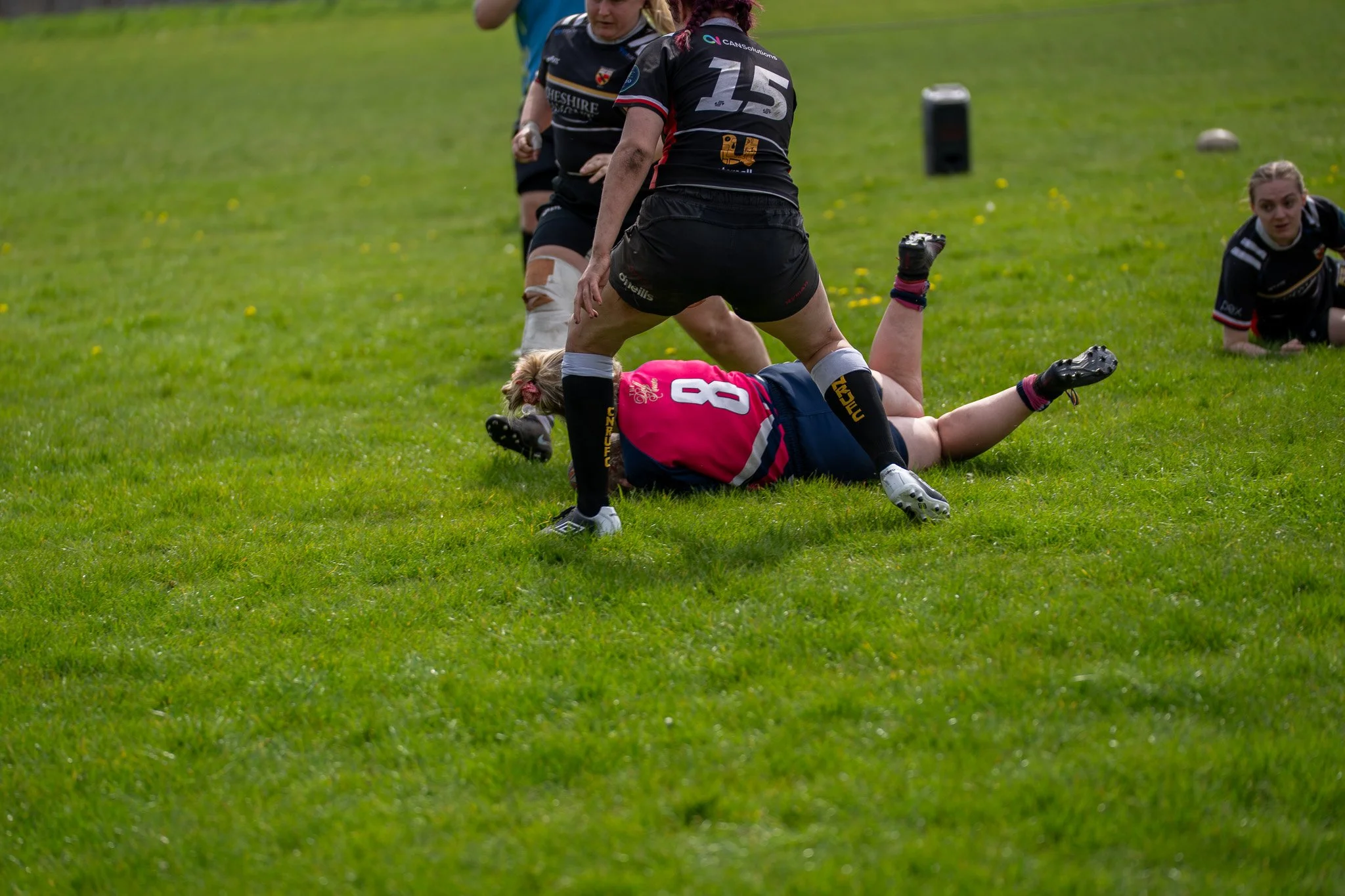DSC02226.jpg